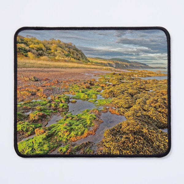 Item preview, Beach near Rosemarkie in Autumn designed and sold by Stephen Frost.
