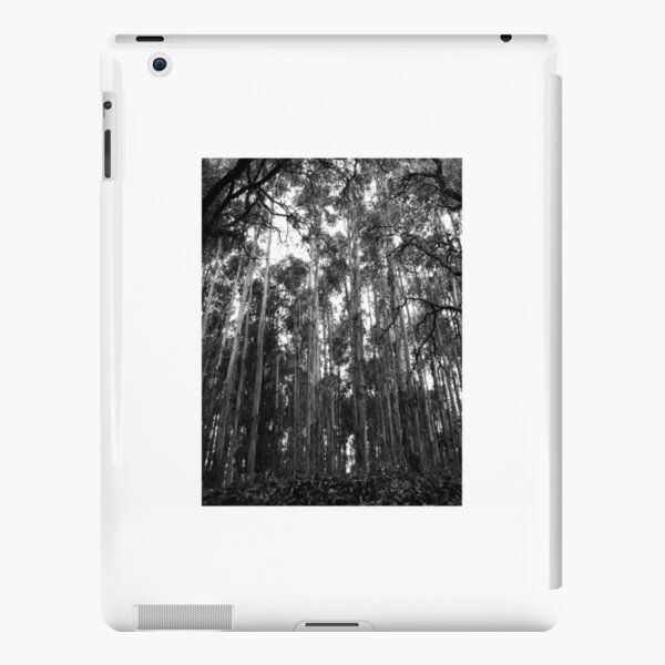 Untitled iPad Snap Case