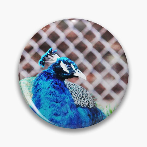 Item preview, Sleeping Peacock designed and sold by PrettyKitty.