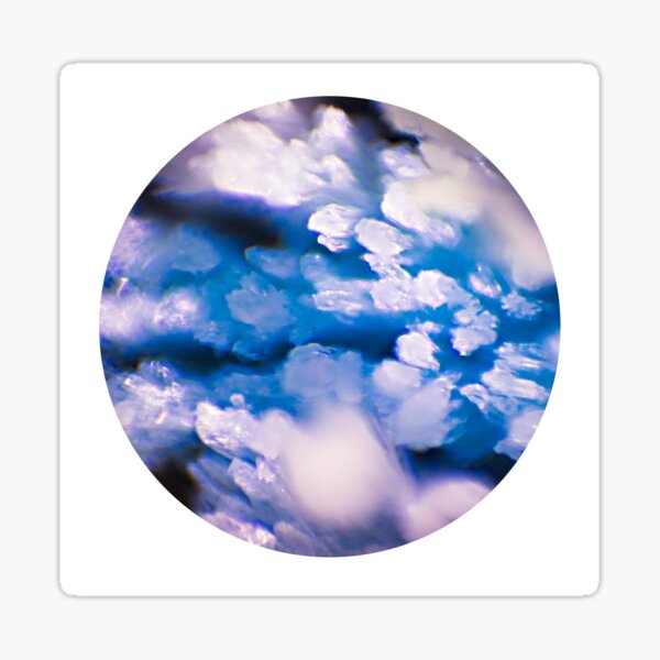 Natrium - Salt Crystals - Microscopy Photograph Sticker