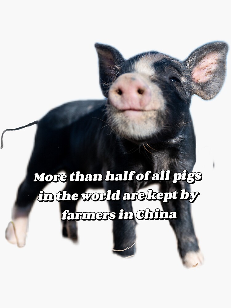 "Pigs in China" Sticker for Sale by Antsinpants Redbubble