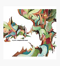 NUJABES METAPHORICAL MUSIC R.I.P Photographic Print