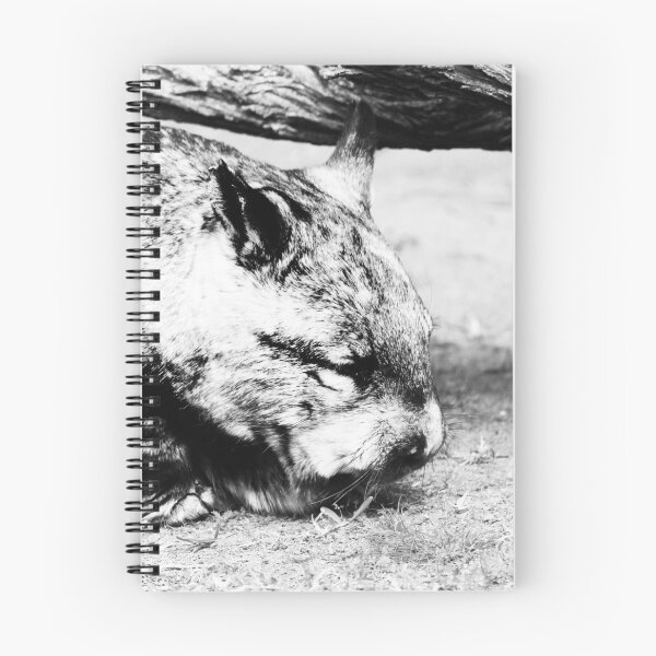 Aperçu de l'œuvre Monsieur Wombat créée et vendue par PrettyKitty.