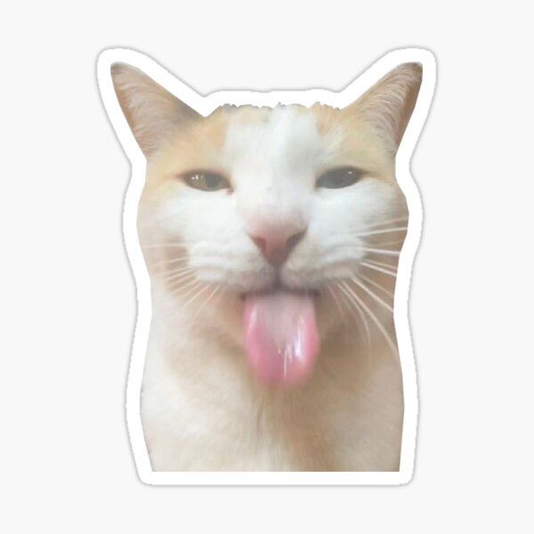 goofy-cat-meme-sticking-tongue-out-quirky-sticker-for-sale-by