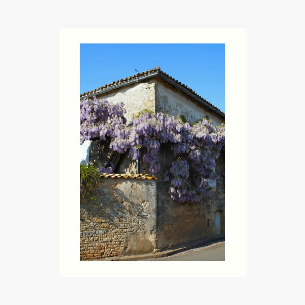 Wisteria Lane Art Print