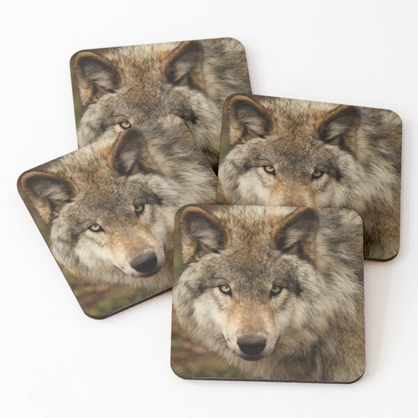 Item preview, Undivided attention designed and sold by locustgirl.