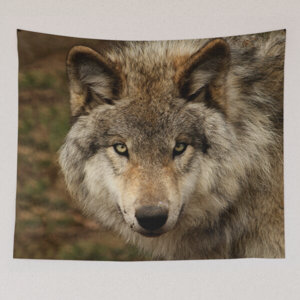 Item preview, Undivided attention designed and sold by locustgirl.