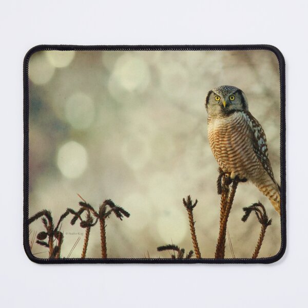 Item preview, Convenient Perch designed and sold by locustgirl.