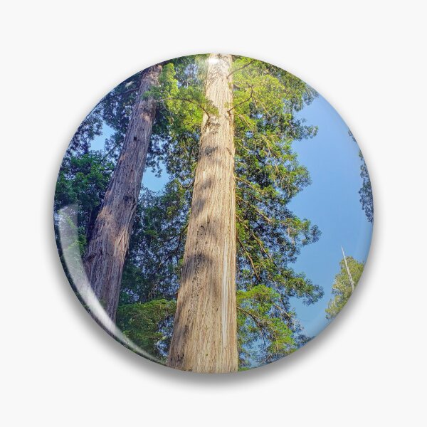 Item preview, Giant sequoias designed and sold by Toadn2princess.