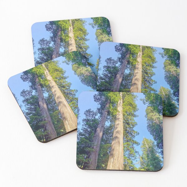 Item preview, Giant sequoias designed and sold by Toadn2princess.