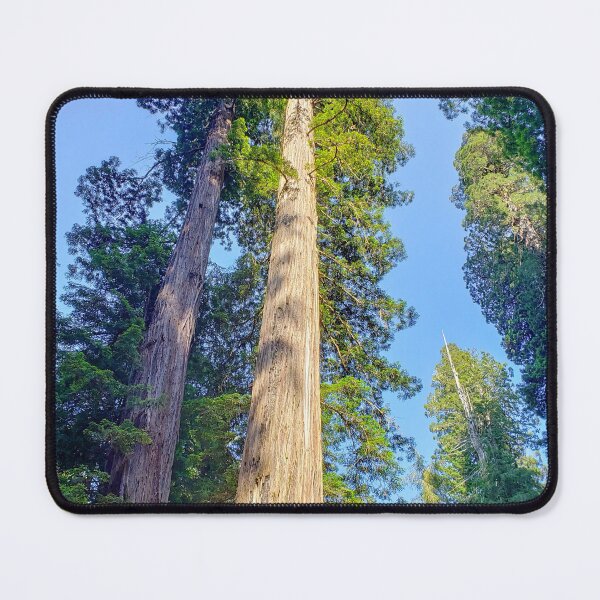 Item preview, Giant sequoias designed and sold by Toadn2princess.