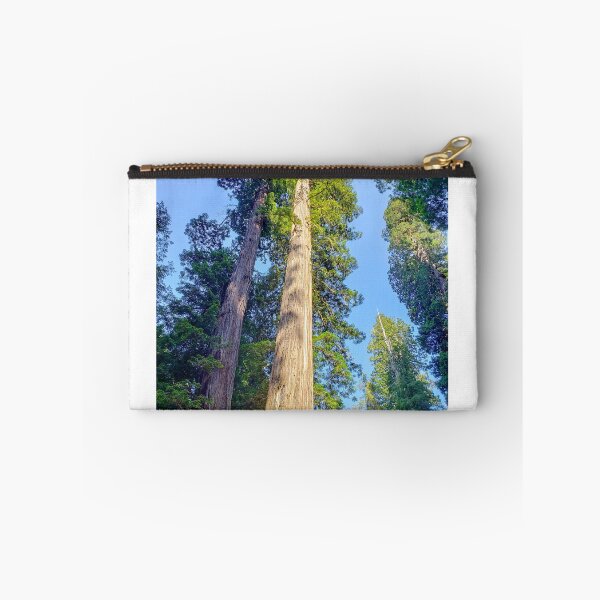 Item preview, Giant sequoias designed and sold by Toadn2princess.