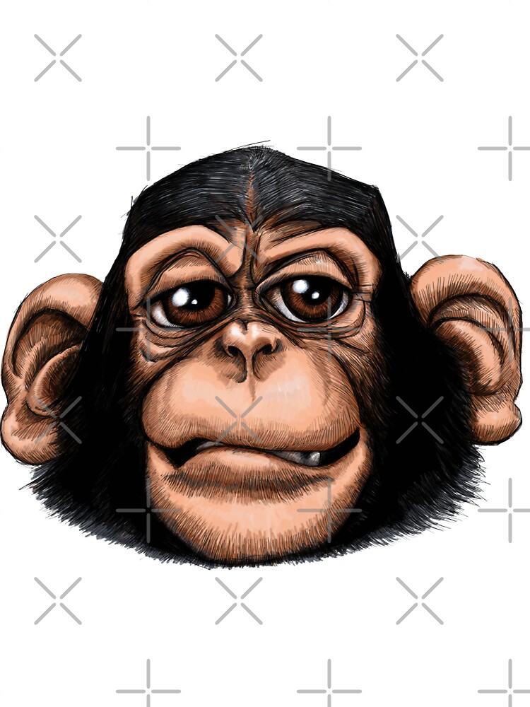 Cheeky baby chimp in colour. Cheeky baby chimp in colour.