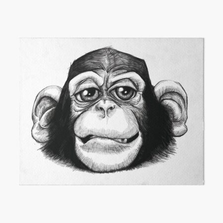 A cheeky baby chimp Art Board Print