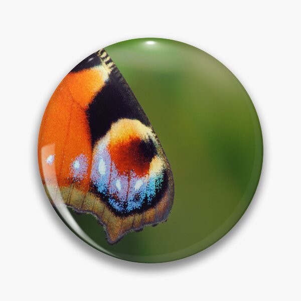 Item preview, Aglais io designed and sold by iago rodriguez dopico.