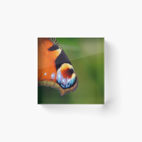 Item preview, Aglais io designed and sold by iago rodriguez dopico.