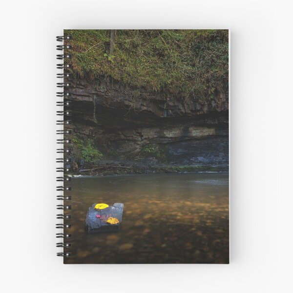 Item preview, Autumn leaves at Sgwd Gwladus waterfall designed and sold by Leighton Collins.