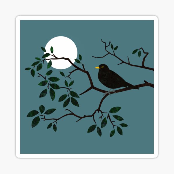 Blackbird Singing in the Night Sticker