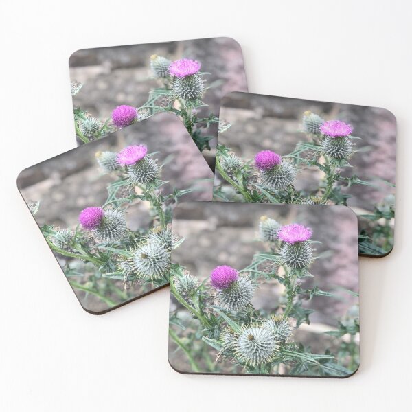 Item preview, Thistle  designed and sold by ShelleebeeArt.