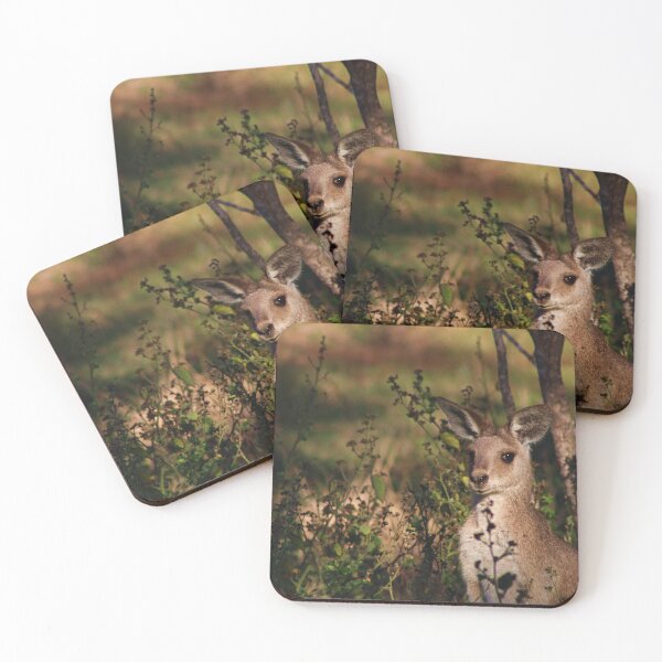 Item preview, Australian Outback Native Kangaroo Wallaby Photograph designed and sold by M-L-Creations.