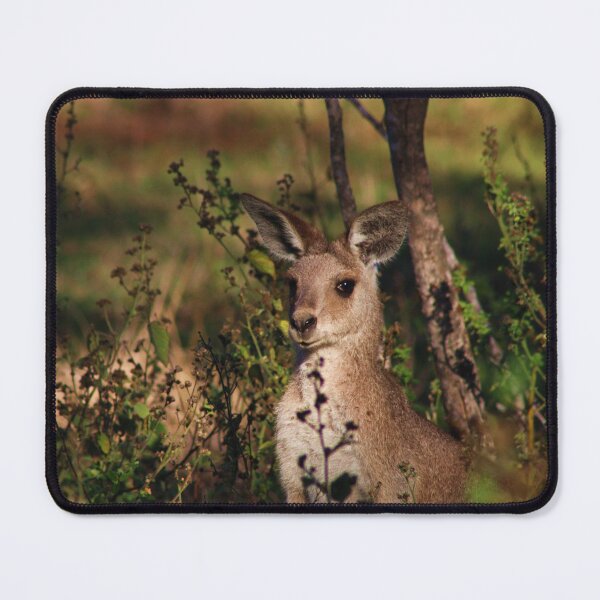 Item preview, Australian Outback Native Kangaroo Wallaby Photograph designed and sold by M-L-Creations.