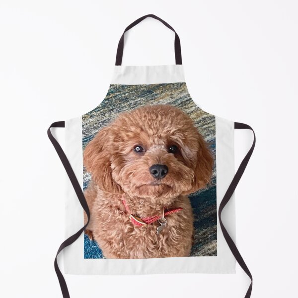 Item preview, Jared designed and sold by BOBBYBABE.