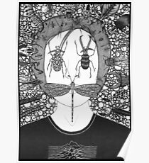 Mystical Vision II - The Conference of the Insects Poster