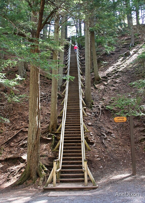 "Jacobs Ladder (175 steps) Truro Nova Scotia" by AnnDixon Redbubble