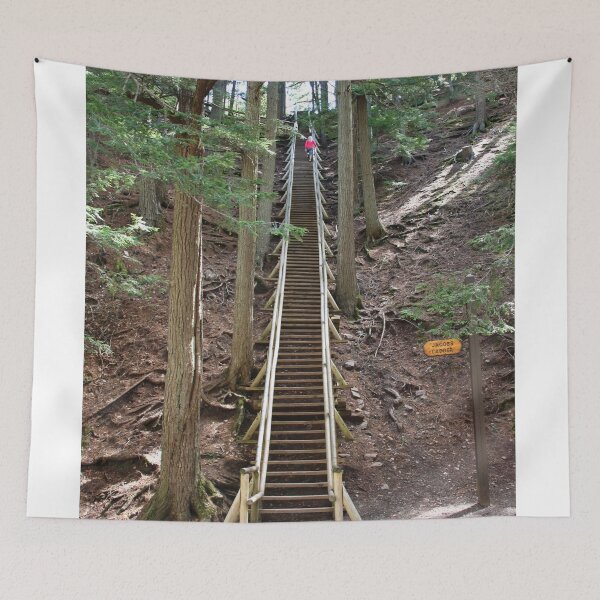 Item preview, Jacobs Ladder (175 steps) - Truro Nova Scotia designed and sold by AnnDixon.