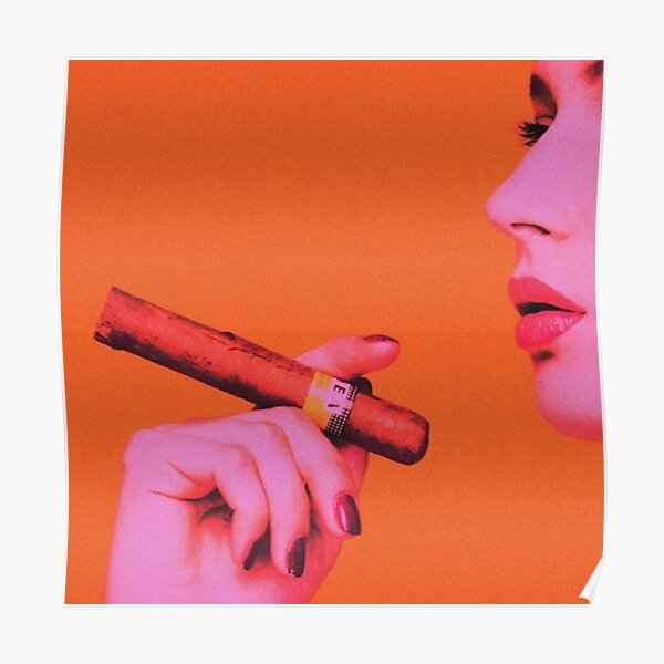 "Freddie Dredd Cha Cha Album cover" Poster for Sale by kimmysween