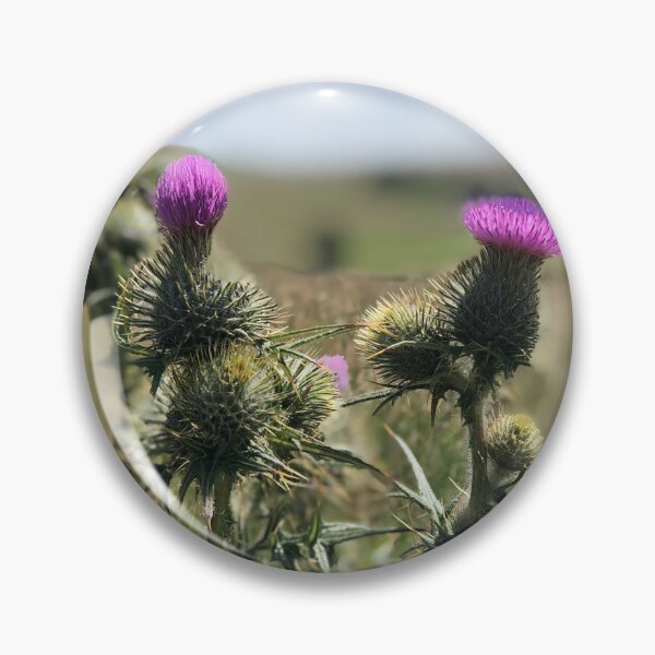 Item preview, Sunny Thistles designed and sold by ShelleebeeArt.
