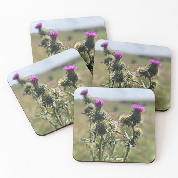 Item preview, Sunny Thistles designed and sold by ShelleebeeArt.