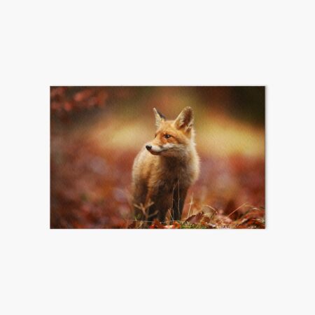 Item preview, Beautiful Young Fox Cub in Autumn designed and sold by DV-LTD.