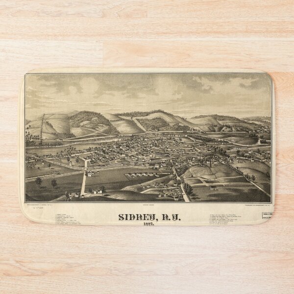 Item preview, Sidney, New York (1887) designed and sold by allhistory.