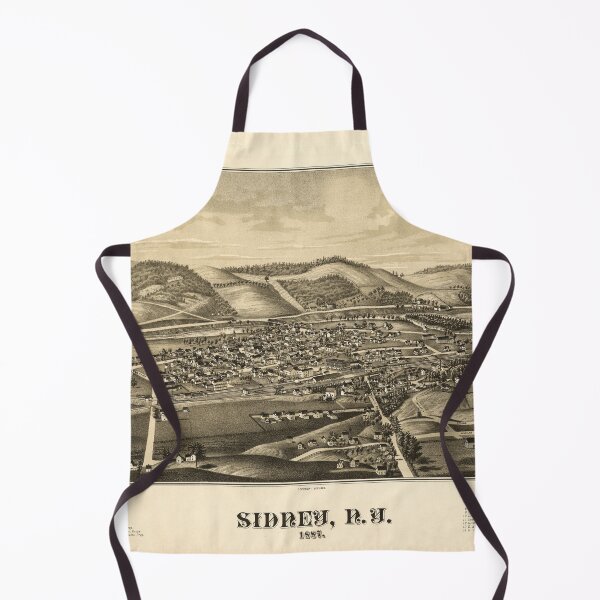 Item preview, Sidney, New York (1887) designed and sold by allhistory.