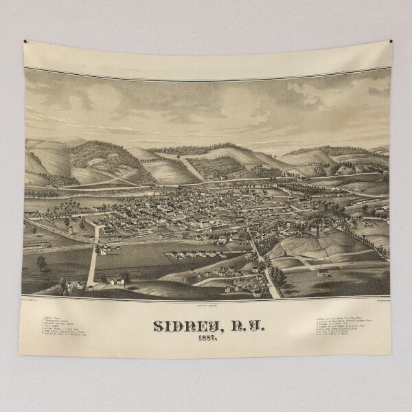 Item preview, Sidney, New York (1887) designed and sold by allhistory.