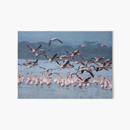 Flamingoes in flight Art Board Print