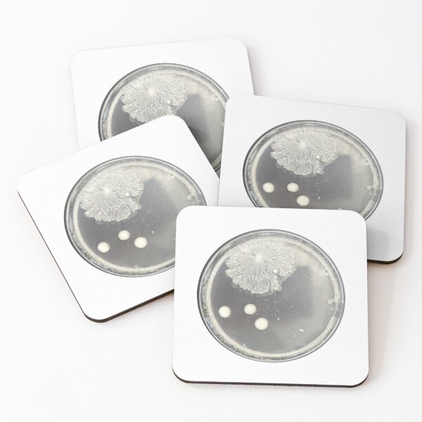 Item preview, Intricate bacterial colonies on PCA designed and sold by Fromthelab.