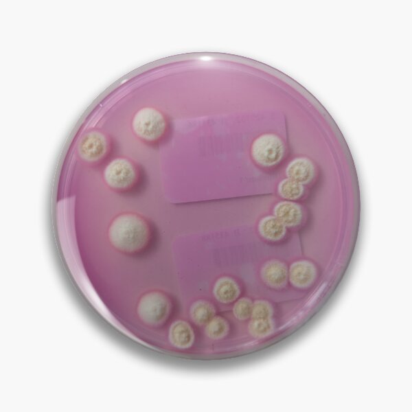 Item preview, Handful of moulds on DRBCA from bakewell tart designed and sold by Fromthelab.
