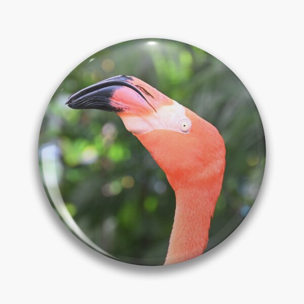 Item preview, Flamingo designed and sold by KBarrett-ForAwe.