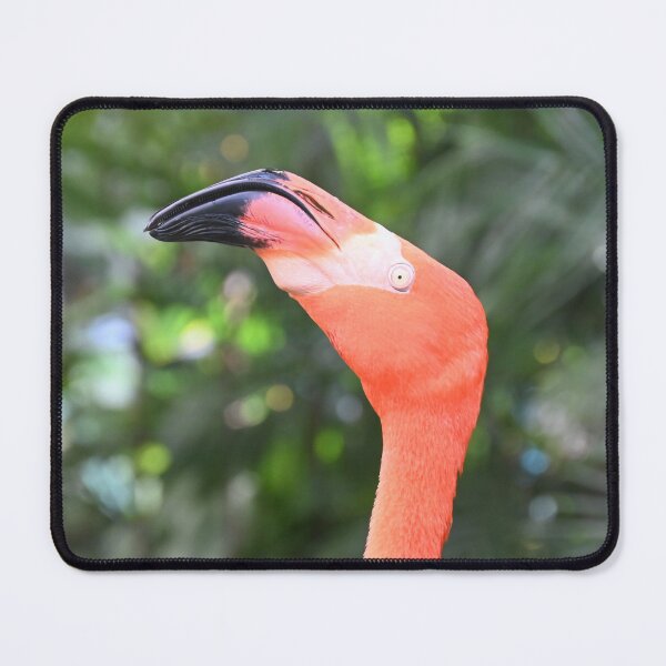 Item preview, Flamingo designed and sold by KBarrett-ForAwe.