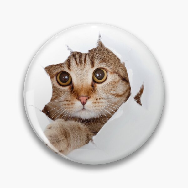 Item preview, my cat just came to ask if it's dinner time designed and sold by DFL-store.
