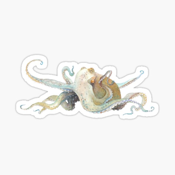 Watercolor Octopus Sticker