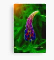 LUPIN Canvas Print