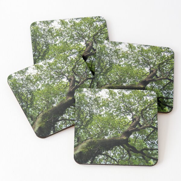 Item preview, Trees designed and sold by iago rodriguez dopico.