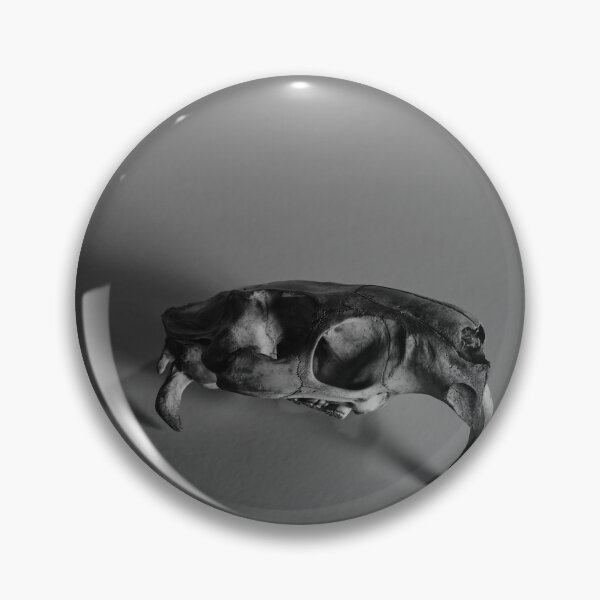 Item preview, Nutria Rat Skull 2 designed and sold by chillbilldill.