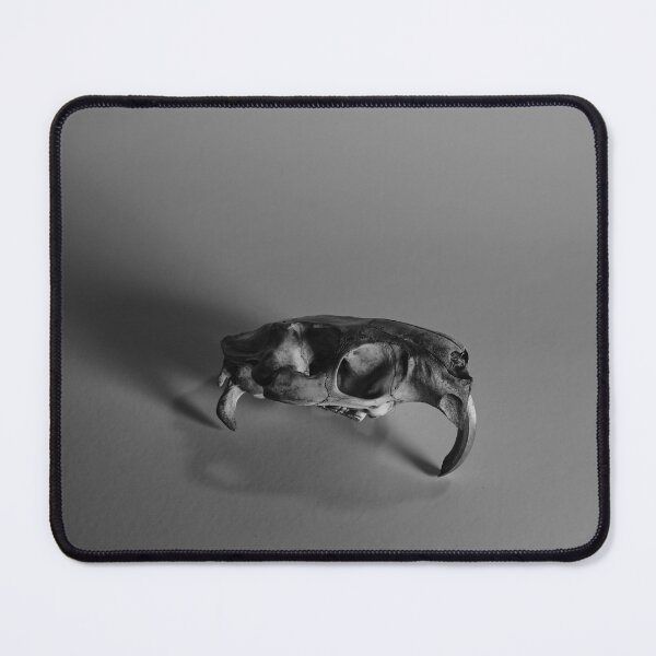 Item preview, Nutria Rat Skull 2 designed and sold by chillbilldill.