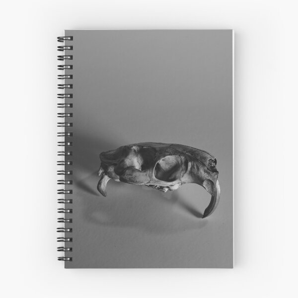 Item preview, Nutria Rat Skull 2 designed and sold by chillbilldill.
