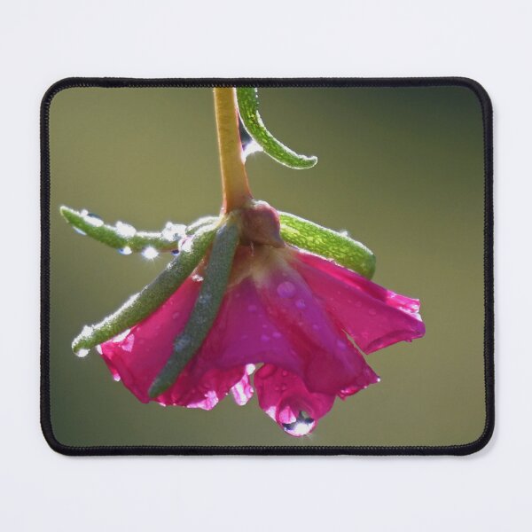 Item preview, Rain Sparkles with Awe designed and sold by KBarrett-ForAwe.