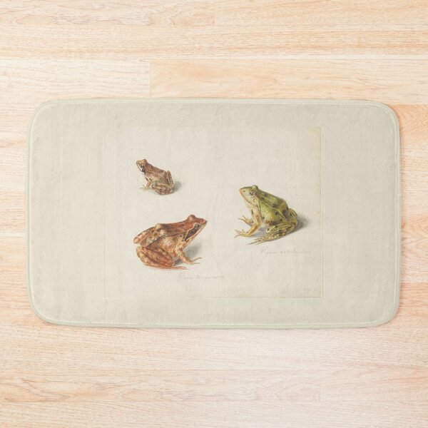 Item preview, Study of Frogs by Albertus Steenbergen (digitally enhanced)  designed and sold by Amanda1775.